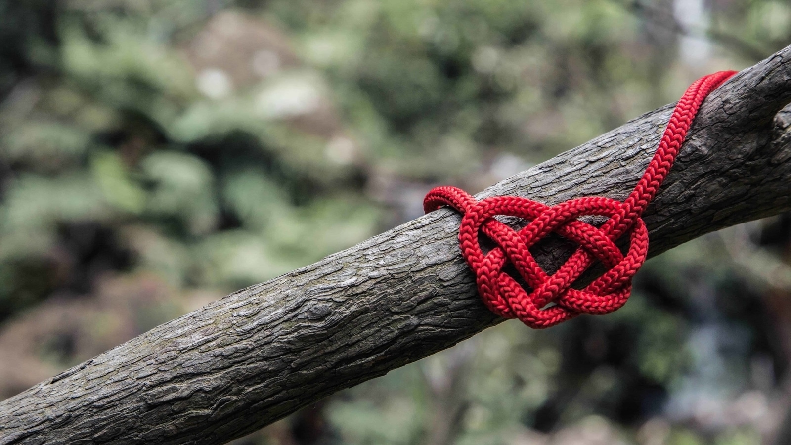 Rahab's Rope: the Scarlet Thread of Redemption in Jericho - ONE